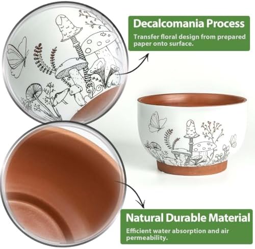 Terracotta Pots, 8+6 Inch Plant Pots, 2 Pcs with Drainage Holes - Image 5