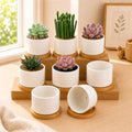 ZOUTOG 8 Pack 3.6" Ceramic Succulent Pots,White Planter with Drainage Tray by ZOUTOG