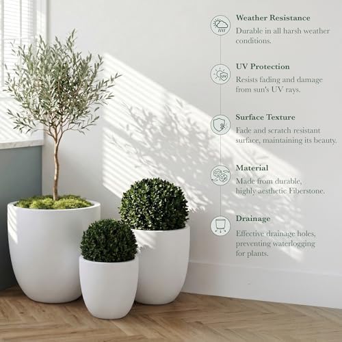 DTY Mount Yale 11.8" D x 11" H (Pot Opening 8.3") Fiberstone Planter with Drainage Hole, Weather Resistant for Indoor and Outdoor, 2 Extra Coco Mats - White, Small - Image 2