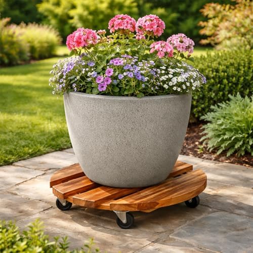 12 Inch Plant Caddy with Wheels, 4 Pack Rolling Plant Stand Rollers with Casters Wooden Plant Dolly with Wheels Heavy Duty Rolling Planter Base for Indoor & Outdoor Plants Natural Wood Flower Stand - Image 2