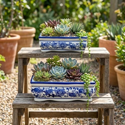Set of 2 Blue and White Ceramic Bonsai Pots with Drainage Hole, 7.5" & 5" - Image 5