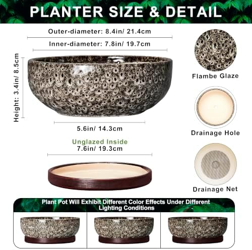 Bonsai Pots, 8 Inch Ceramic Succulent Pot with Saucer, White Leopard - Image 2