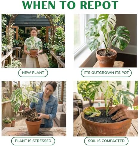 Organic Monstera Potting Soil, Quick-Draining Aroid Mix, Large 7.5L Bag - Image 6