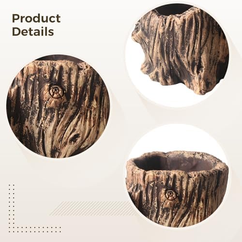 Double Cylinder Succulent Planter in Imitation Wood Design, Cement Tree Root Aesthetic, Ideal for Small Plants and Decorative Display On Window Sills, Desktops, and Bathrooms - Image 2