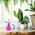8 Pcs Glass Plant Mister Spray Bottle 200ml Vintage Plant Spritzer Multicolor Succulent Watering Bottle Watering Can 6.4'' with Plastic Top Pumps for Indoor Outdoor Succulents Garden Plants (Bronze) - Image 6
