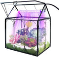 RIFNY Plant Terrarium with Grow Light, Glass Terrarium 7.1 x 4.8 x 8.8 Inch by RIFNY