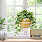 Hanging Ceramic Planter Cute Bee Plant Pots - Image 7