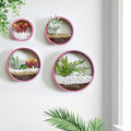 Pack of 4 Round Wall Planters Hanging Metal Plant Containers Circle Plant Holder Contemporary Morden Circle Iron Vase for Succulents or Herbs Cactus and More (Pink) by EssenceLiving