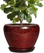 Ceramic Plant Pots - 10 Inch Planters for Plants Indoor Outdoor, Round Plant Pots with Drainage Hole and Saucer, Decorative Indoor Planter, Office Decor, Gifts for Plant Lovers, Red Leopard by Thirtypot