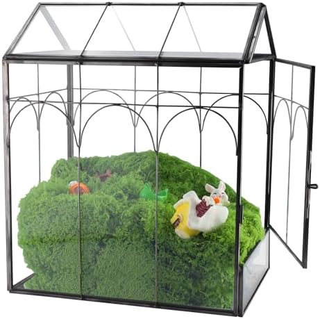 HighFree Geometric Plant Terrarium with Lid (Black with Side Door) by HighFree