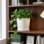 8 Inch Ceramic Plant Pot, White - Image 2