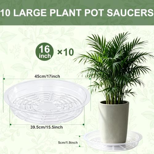 Clear Plant Saucer 16 inch Large Plant Drip Trays for Indoor outdoor plants - Image 5