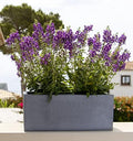 Modern Rectangle Balcony Window Cement Gray Planter Box Elegant Rectangular 8" H x 8" W x 20" L Flower Pot by Unknown