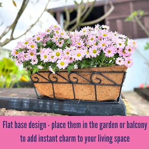 LaLaGreen Window Boxes Planters to Attach House (16 in, 2 Pack) Black Metal - Image 5