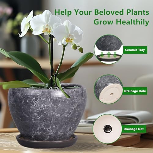Ceramicfor Ceramic Planters for Indoor Plants - 10 Inch Plant Pot with Drainage Hole and Saucer, Large Flower Pot for Home Decor, Gray - Image 4