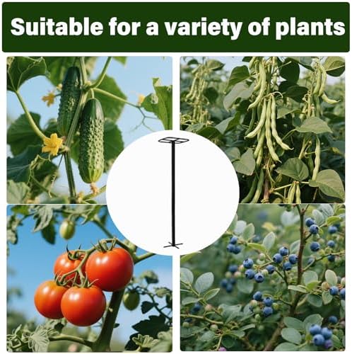Yohsnor 2PCS 50" Metal Dragon Fruit Trellis,Durable Vertical Garden Support - Image 5