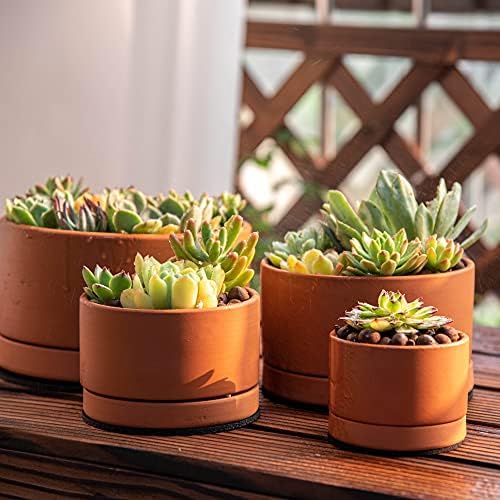 D'vine Dev Set of 4 Terracotta Shallow Planter Pots for Succulent, 3 Inch 4 Inch 5 Inch 6 Inch, Small Flower Plant Pots with Drainage and Saucer, 40-Z-0 - Image 2