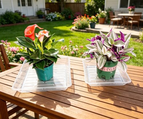4 Pack 16 Inch Square Plant Saucer Heavy Duty, Plastic Drip Tray for Large Potted Plants & Planters, Clear - Image 5