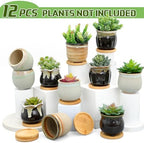 Remerry 12 Pcs Ceramic Succulent Pots with Drainage 3.5 Inch Bamboo Tray - Image 5