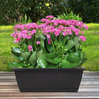 8pcs Window Box Planter,17 Inches Flower Window Boxes,Rectangle Planters Box with Drainage Holes and Trays, Plastic Vegetable Planters for Windowsill Patio Garden Home Decor Porch Yard (Black) - Image 3