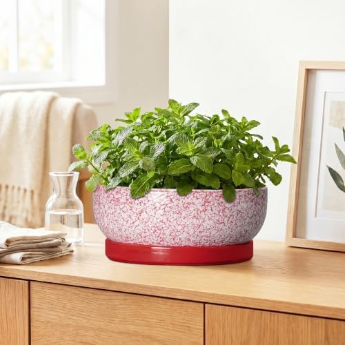 Bonsai Pots 10 Inch, Ceramic Succulent Planters, Texture Red - Image 6