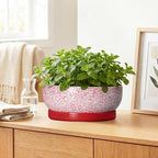 Bonsai Pots 10 Inch, Ceramic Succulent Planters, Texture Red - Image 6