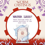 Organic Mechanics Worm Castings Soil Amendment, 5lb (Pack of 4) - Enhances Soil Structure & Retains Moisture for All Plants, Houseplants, Vegetables, Herbs, and Flowers - Peat-Free & Eco-Friendly - Image 3