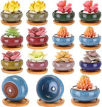 12 Pcs Small Succulent Pots with Drainage - 2.5 Inch Mini Ceramic Cactus Planters with Bamboo Saucers, 8 Colors Ice Crack Glaze Flower Pots for Plants, Home Office Desk Decor by RimCereal