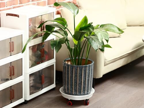 6 Packs 13 Inches Large Plant Caddy Plant Saucers on Wheels Rolling Plant Stands Heavy-Duty Plant Dolly Plastic Planter Roller Base Pot Movers Outdoor Plant Tray Coaster - Image 5