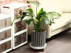 6 Packs 13 Inches Large Plant Caddy Plant Saucers on Wheels Rolling Plant Stands Heavy-Duty Plant Dolly Plastic Planter Roller Base Pot Movers Outdoor Plant Tray Coaster - Image 5