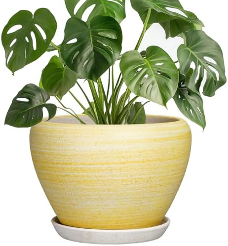 Ceramic Plant Pots, 8 Inch Planter with Drainage, Textured Yellow by Thirtypot