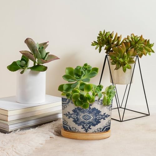 Navy Blue Damask Planter Ceramic Bohemian Diamond Shape Flower Round Flower Pot with Drainage Holes and Bamboo Tray Pot for Home Office Desk Garden - Image 4