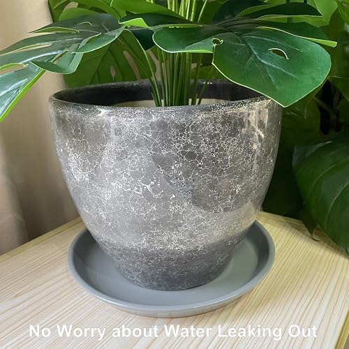 Plant Pot Saucers - Ceramic Plant Saucers for Outdoors 12 inch Plant Trays for Indoors No Holes Plant Drainage Trays Round Flower Pot Saucers Plant Plates to Catch Water 2 Pack Gray - Image 3