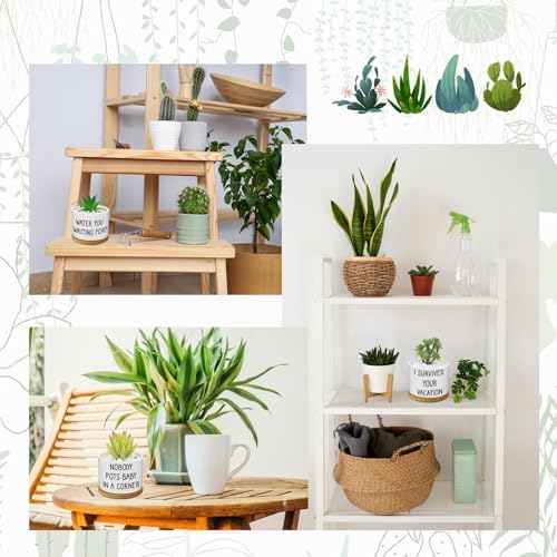 12 Pcs Funny Succulent Pots with Bamboo Tray White Ceramic Aloe Cactus Plant Pots Funny Plant Pots for Women Coworker Employee - Image 6