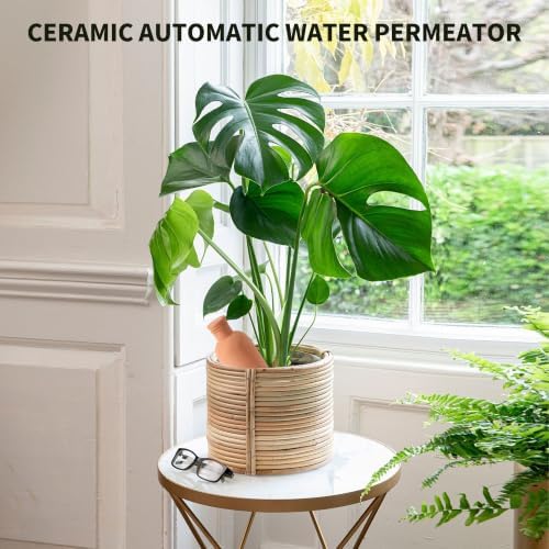 4 Pack Terracotta Self Watering Plant Bottles 900ml Automatic Clay Watering Globes with Free Garden Fork Spoon for Houseplants Outdoor Garden Plants - Image 6