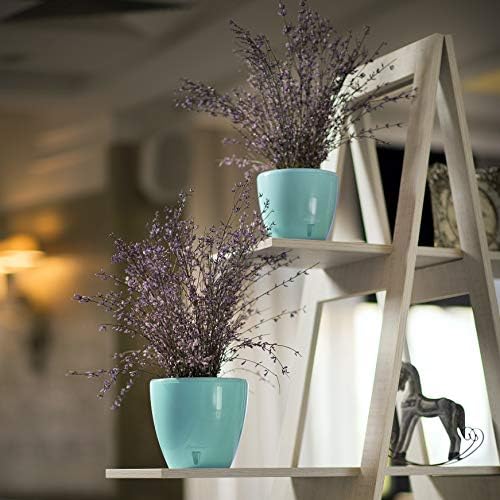 DECOPOTS - 3 Pack Self Watering Planter - Indoor/Outdoor Decorative Flower Pot with Drainage Cartridge and Water Level Indicator (6.7", Lime) - Image 6