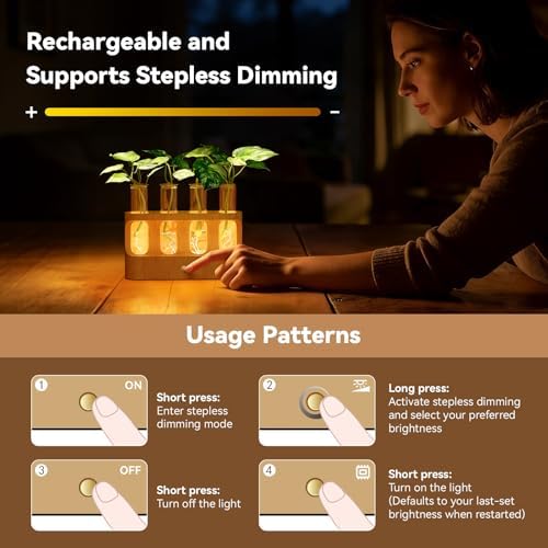 Lightalent Rechargeable Plant Propagation Station, LED Hydroponic Terrarium - Image 2