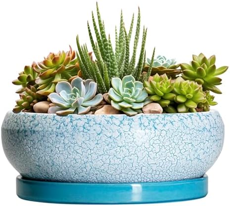 Succulent Pots 8 Inch - Ceramic Bonsai Pots with Drainage Hole and Saucer, Succulent Planters for Indoor Plants Outdoor, Round Shallow Planter Bowl, Porch Decor, Gardening Gifts, Blue by EPFamily