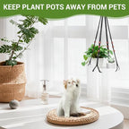 GREANER 2 Sets Hanging Plant Shelf, Black Indoor Hanging Plant Stand with Large Plastic Tray, Flower Pot Holder for Succulents, Cacti, Small Plants - Image 5