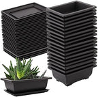 SEUNMUK 25 PCS 6.5 Inch Plastic Bonsai Training Pots,Thicken Rectangular Plastic Growing Pots, with 25 Trays for Garden, Bonsai Plants Growing Pot for Home, Office, Balcony, Garden and Yard by SEUNMUK