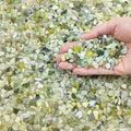 FANTIAN 10 lbs Pebbles for Landscaping,1/4 Inch Polished Green Pea Gravel Small Rocks for Plants, Succulents, Cactus, Vases, Terrarium and Outdoor Gardening by FANTIAN-GardeningMakesLifeBetter