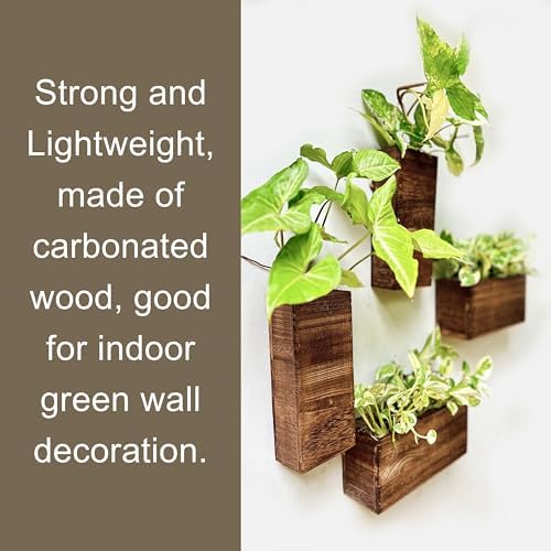 LaLaGreen Wooden Wall Planters (4 Pack) Hanging Wood Planter Box for Plants - Image 5