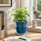 D'vine Dev Self-Watering Blue Terracotta Planter, 6 in, 2-Pack, 37-Y-B-4 - Image 3