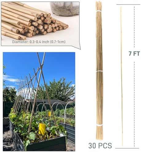 30Pcs / 7ft Bamboo Plant Stakes for Indoor Outdoor Plants, Garden Plant Support Sticks, Poles for Tomato Vegetables Beans Trees Potted Climbing Plants(0.32''-0.4'') - Image 5