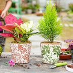 Sungmor Vintage Ceramic Planter Set of 3, 5.5 Inch Crackle Glaze Planters - Image 4