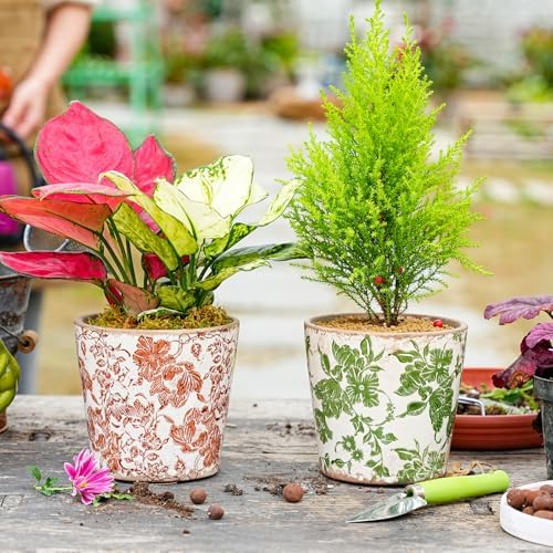 Sungmor Vintage Ceramic Planter Set of 3, 5.5 Inch Crackle Glaze Planters - Image 4