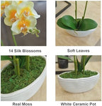 Large Artificial Orchid Arrangement in Oval Ribbed Ceramic Pot, Yellow - Image 2