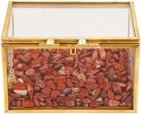 rockcloud Red Jasper Chips Healing Crystal with Terrarium Container by rockcloud