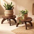 Novabright 2 Pcs Scalloped Short Plant Stand Small Wood Plant Stool Riser by Unknown