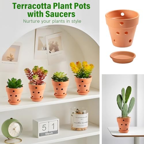 4 Inch Terracotta Orchid Pots with Holes and Saucers Set of 6 - Image 2